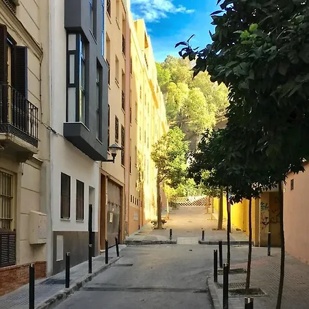 Centro Picacho *